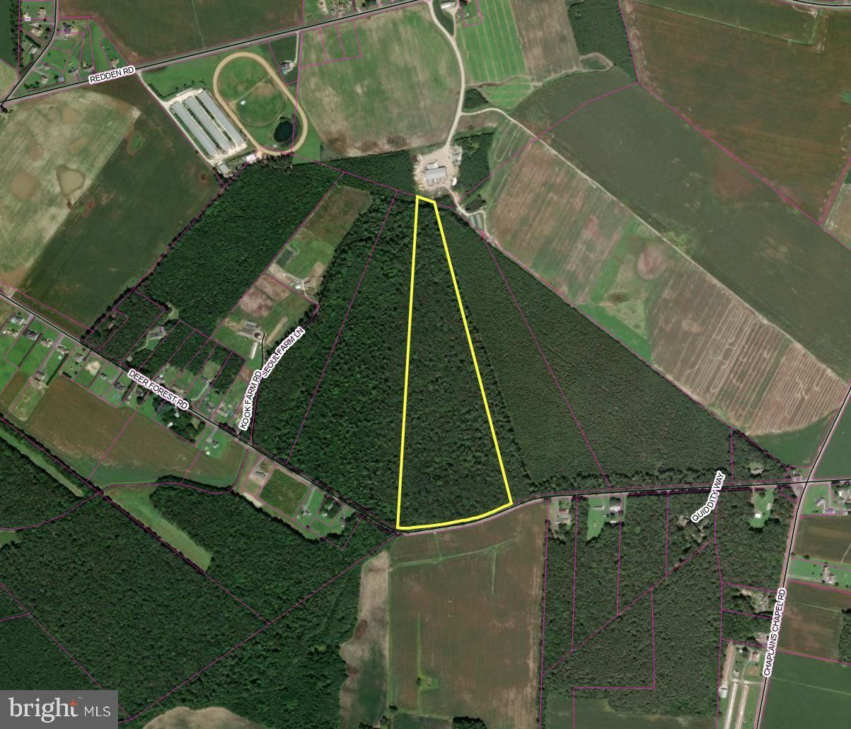 Bridgeville, Sussex County, DE Undeveloped Land for sale Property ID