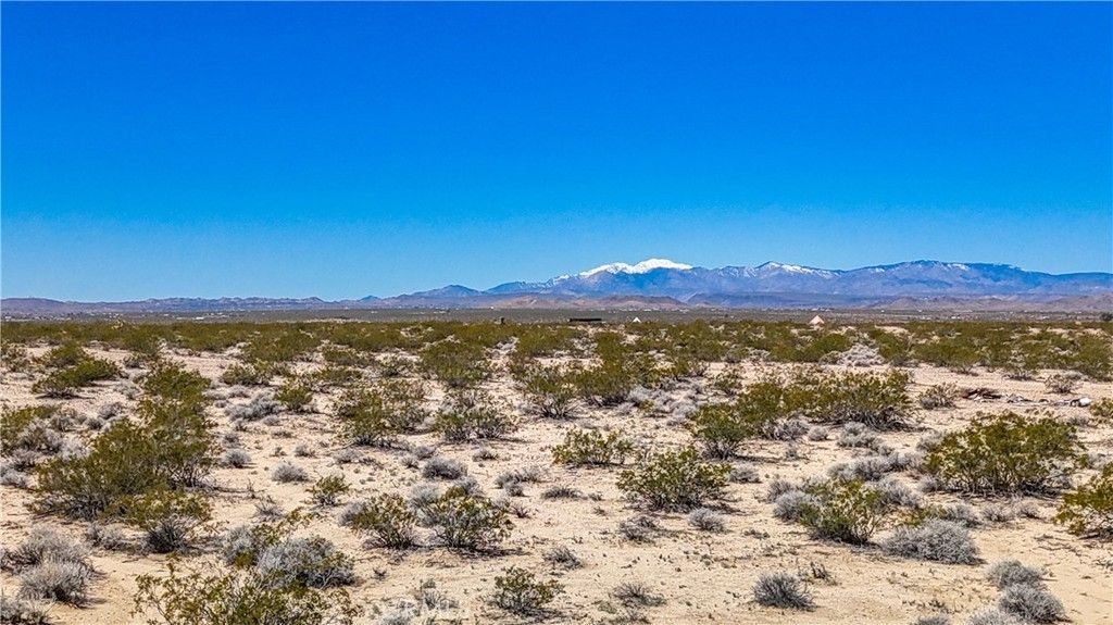 Joshua Tree, San Bernardino County, CA Undeveloped Land, Homesites for