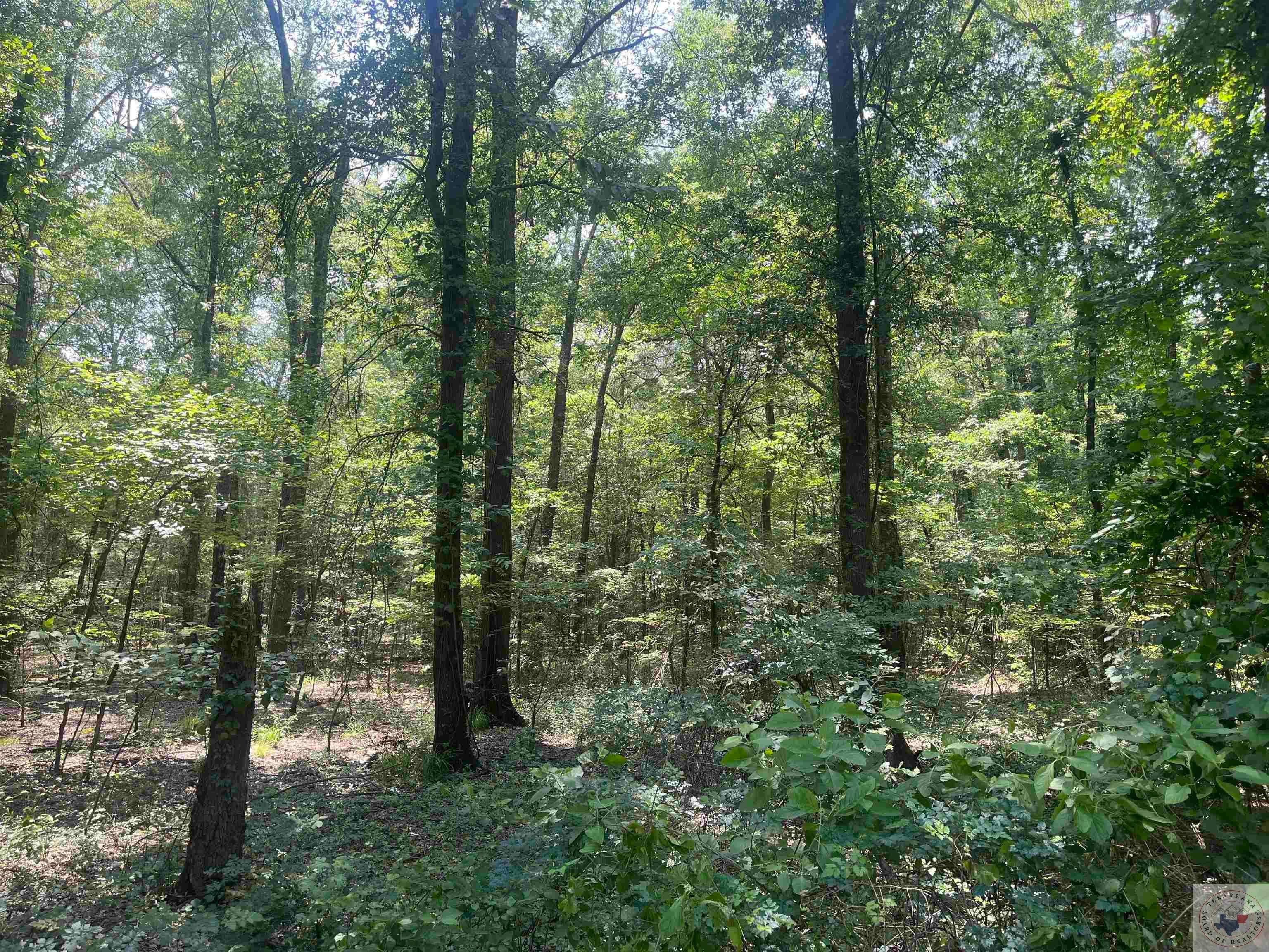 0 Eckert Ln , Hooks, TX 75561 MLS 112212 LandWatch