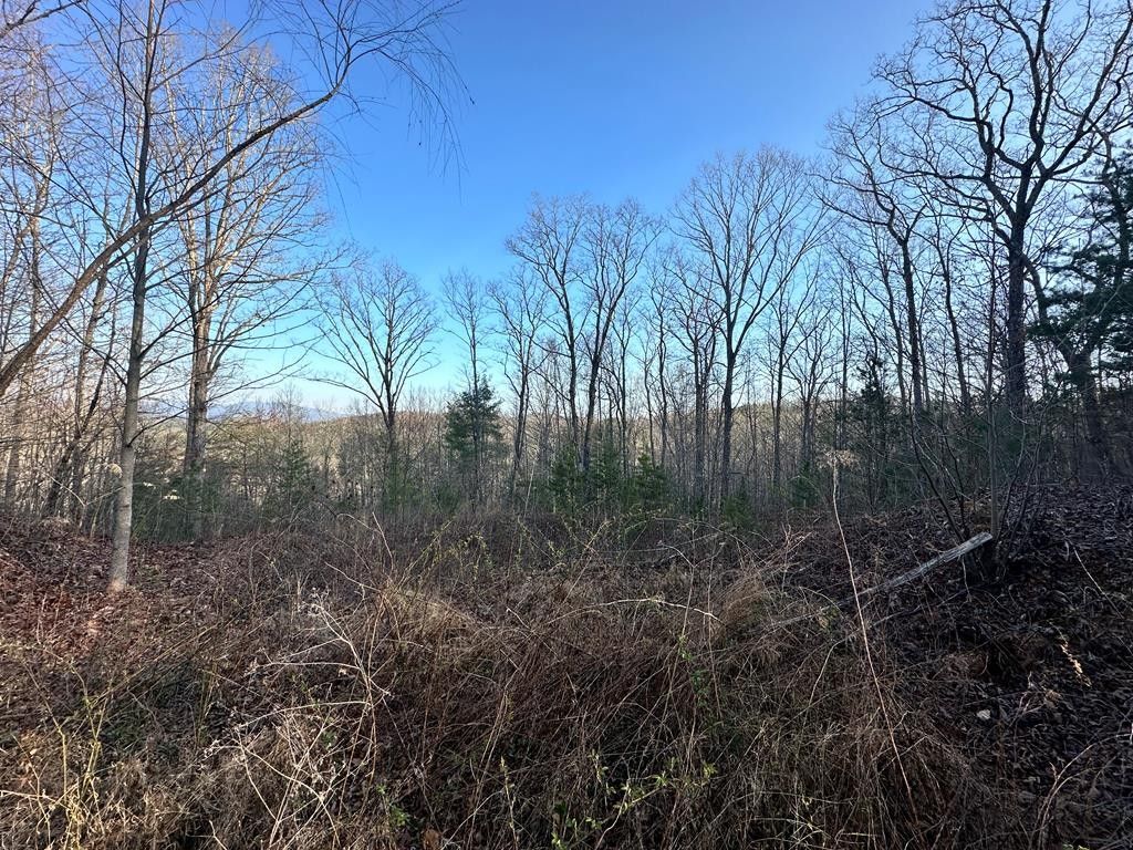 Blue Ridge, Fannin County, GA Undeveloped Land, Homesites for sale