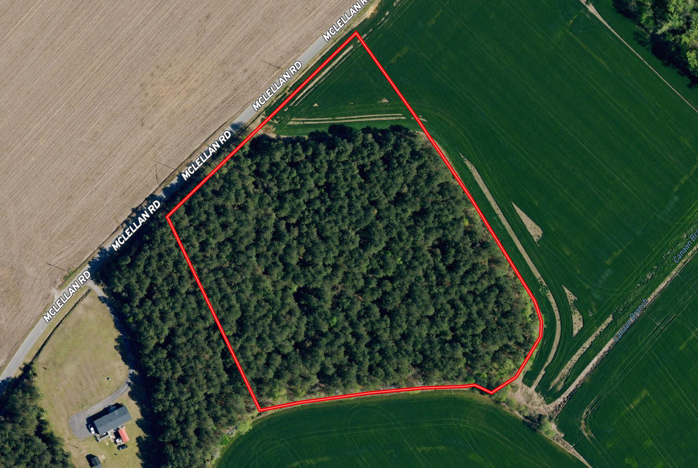 Hamer, Dillon County, SC Recreational Property, Undeveloped Land for sale Property ID 419451077