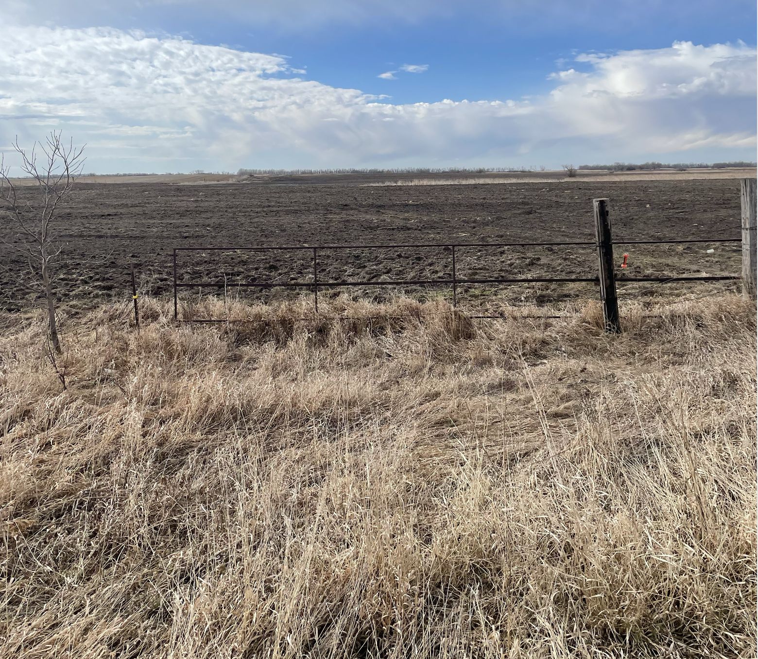 160 acres in Bottineau, ND, 58318 LandWatch