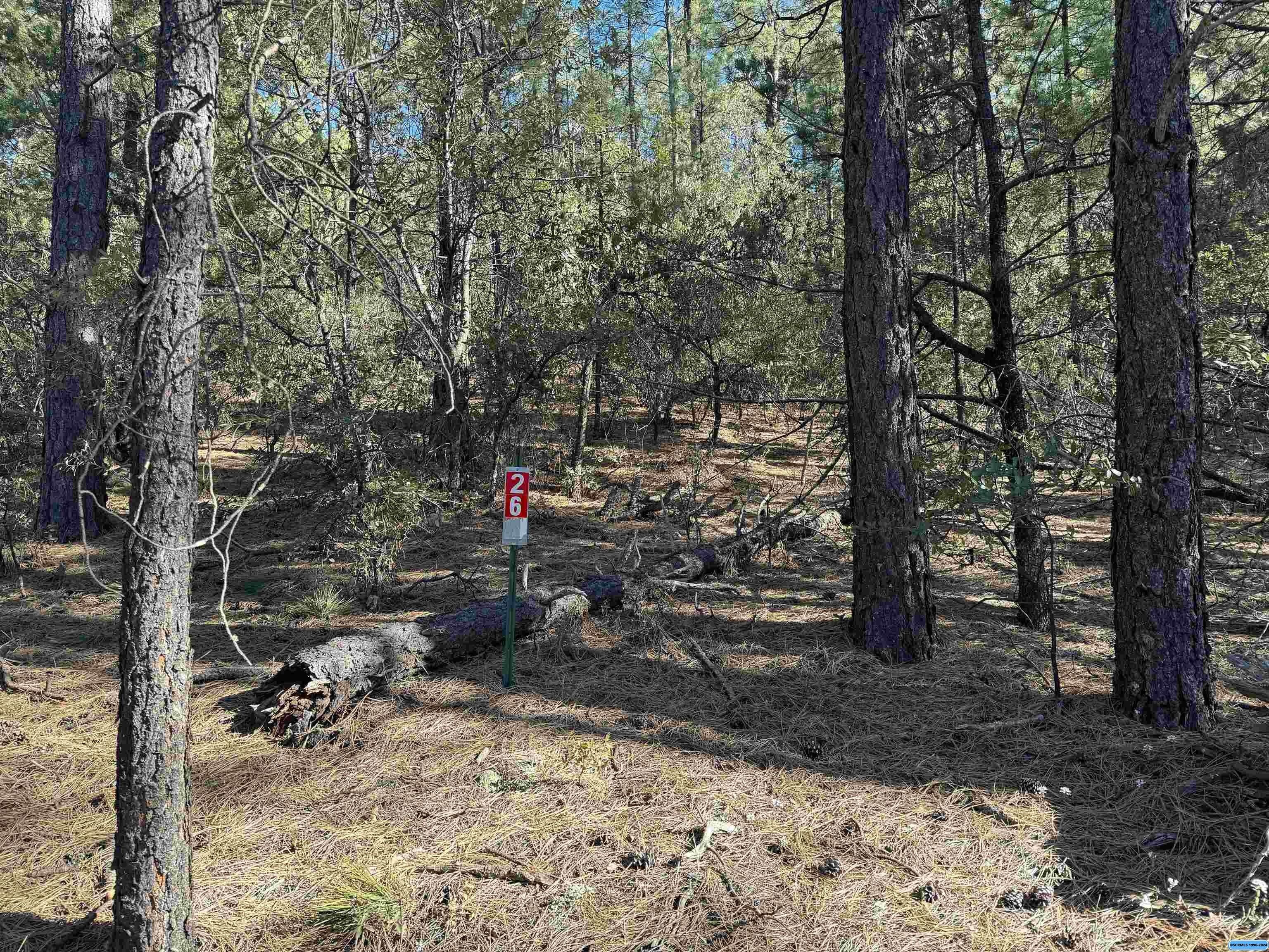 Pinos Altos, Grant County, NM Undeveloped Land, Homesites for sale