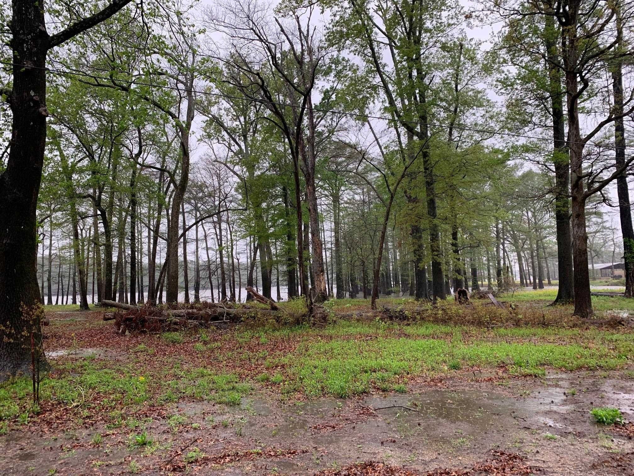 Ripley, Lauderdale County, TN Undeveloped Land, Homesites for sale