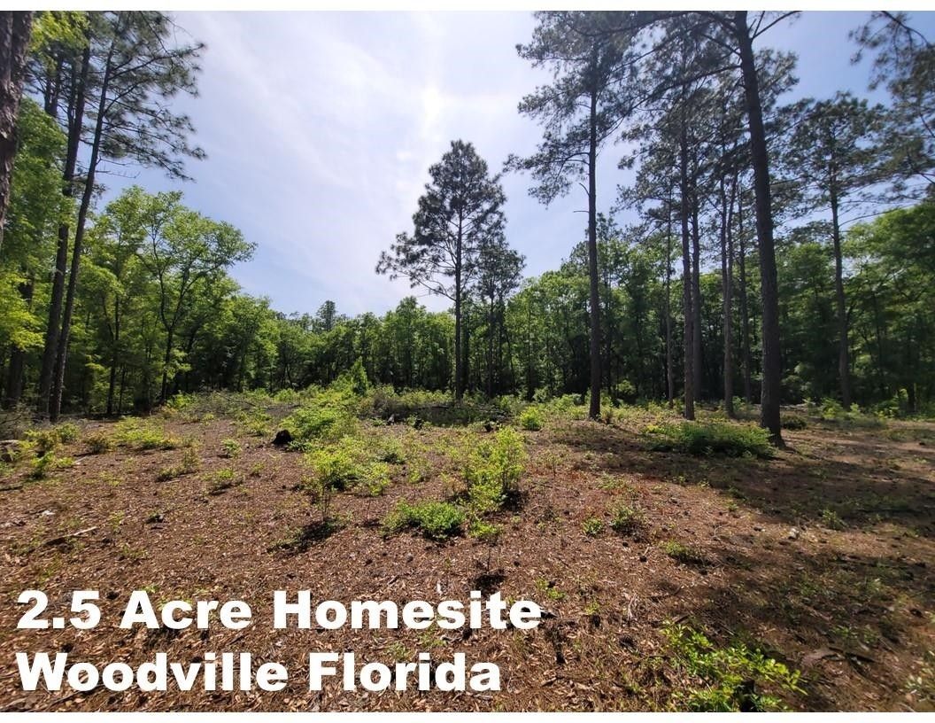 Tract E Lutterloh Road, Woodville, FL 32305 MLS 371030 LandWatch