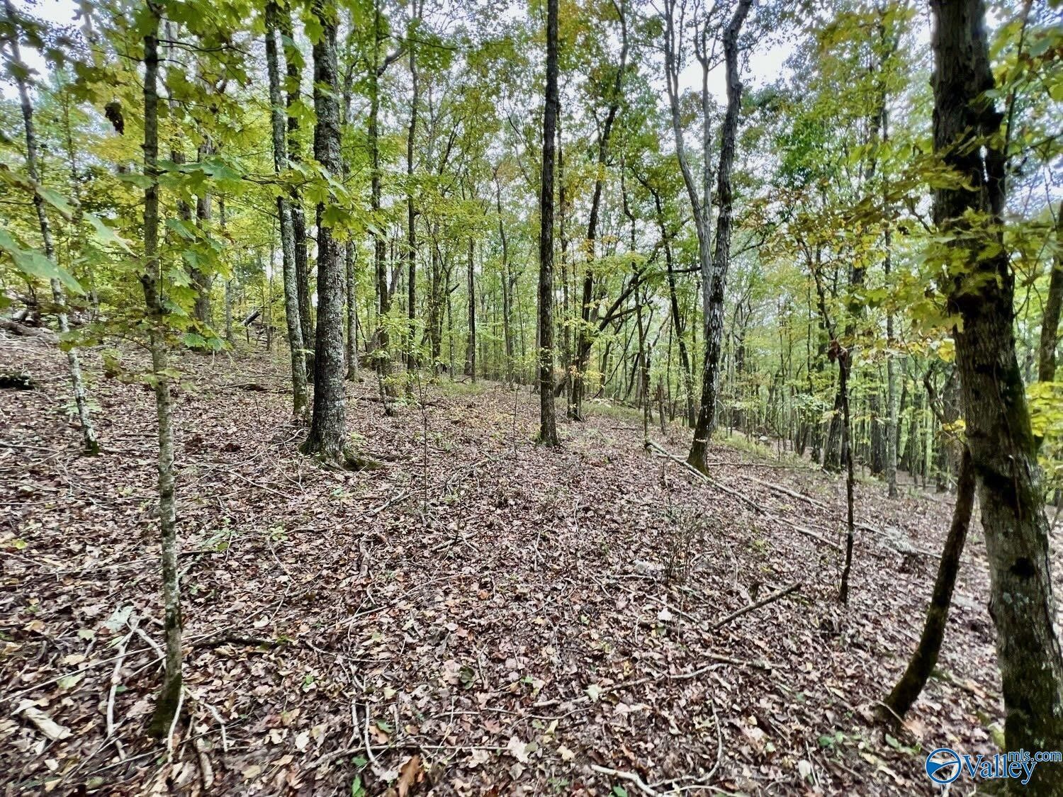 32.5 Acres Keel Mountain Road, Gurley, AL 35748 MLS 21858233 LandWatch