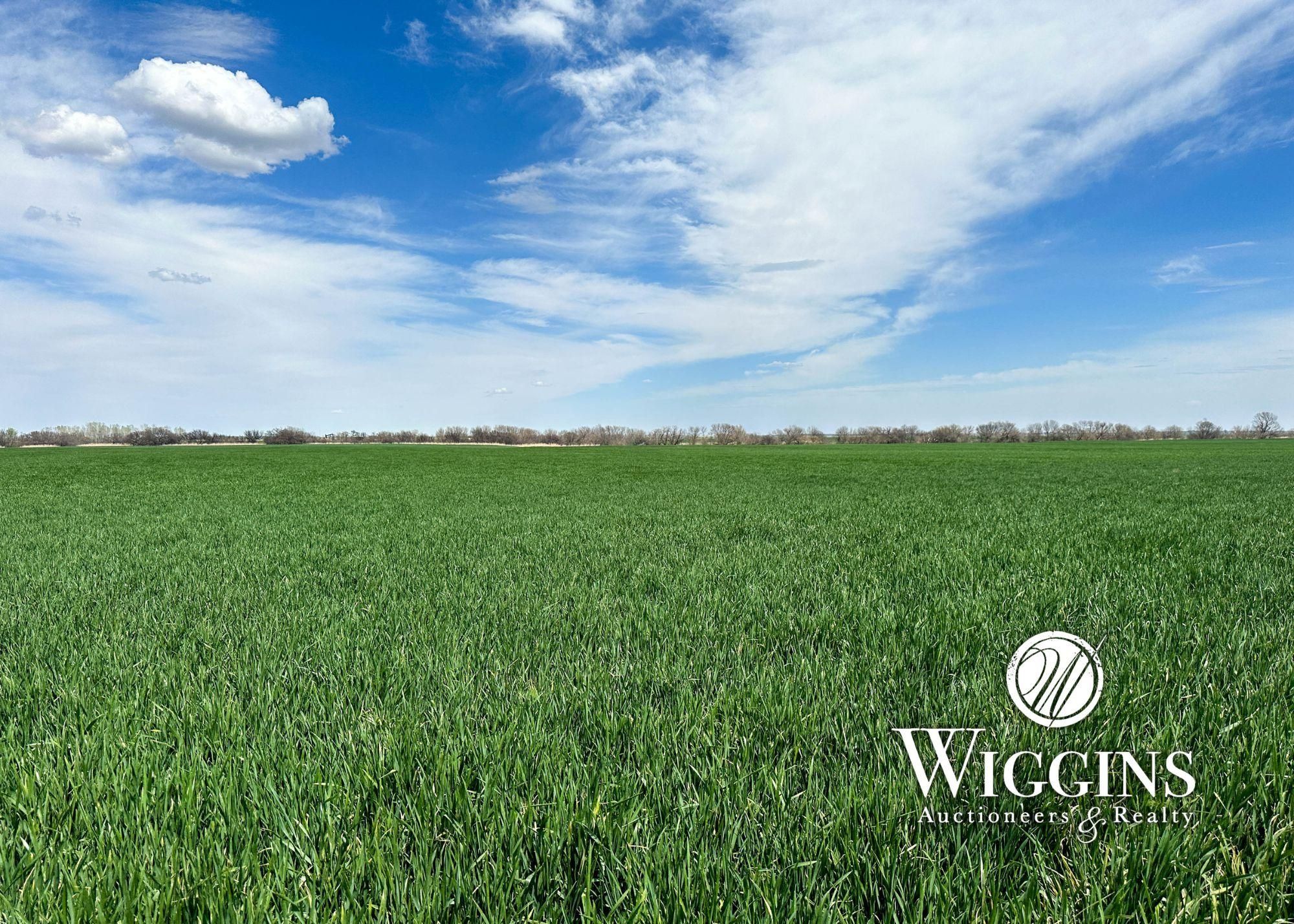 160 acres in Alva, OK, 73717 LandWatch