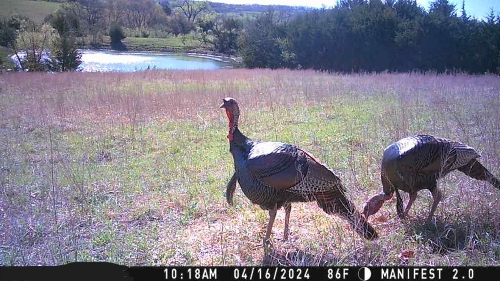 Topeka, Shawnee County, KS Farms and Ranches, Recreational Property