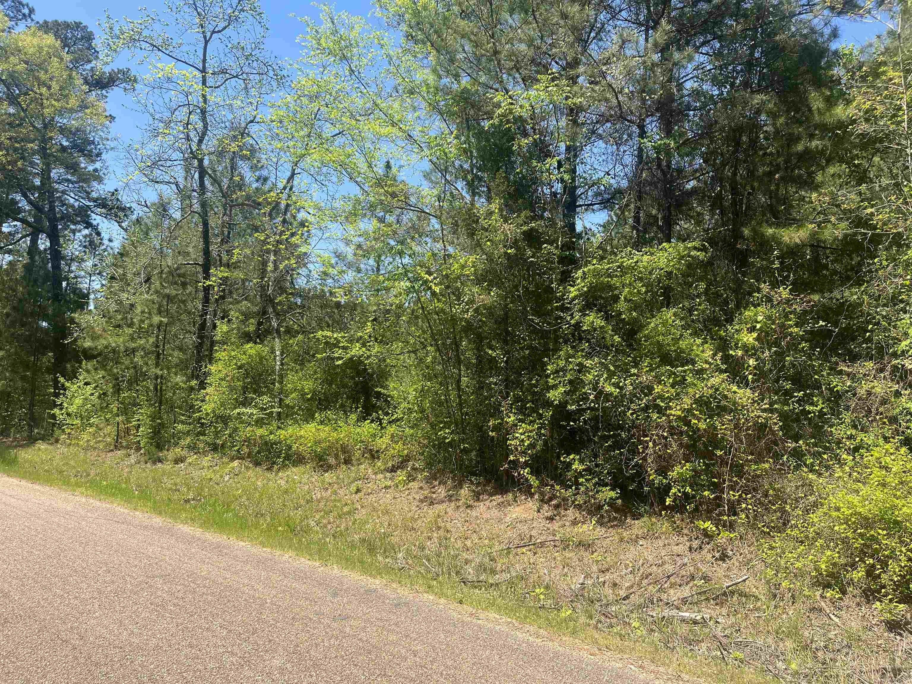 Swinnea Road, Okolona, AR 71962 MLS 24012834 LandWatch