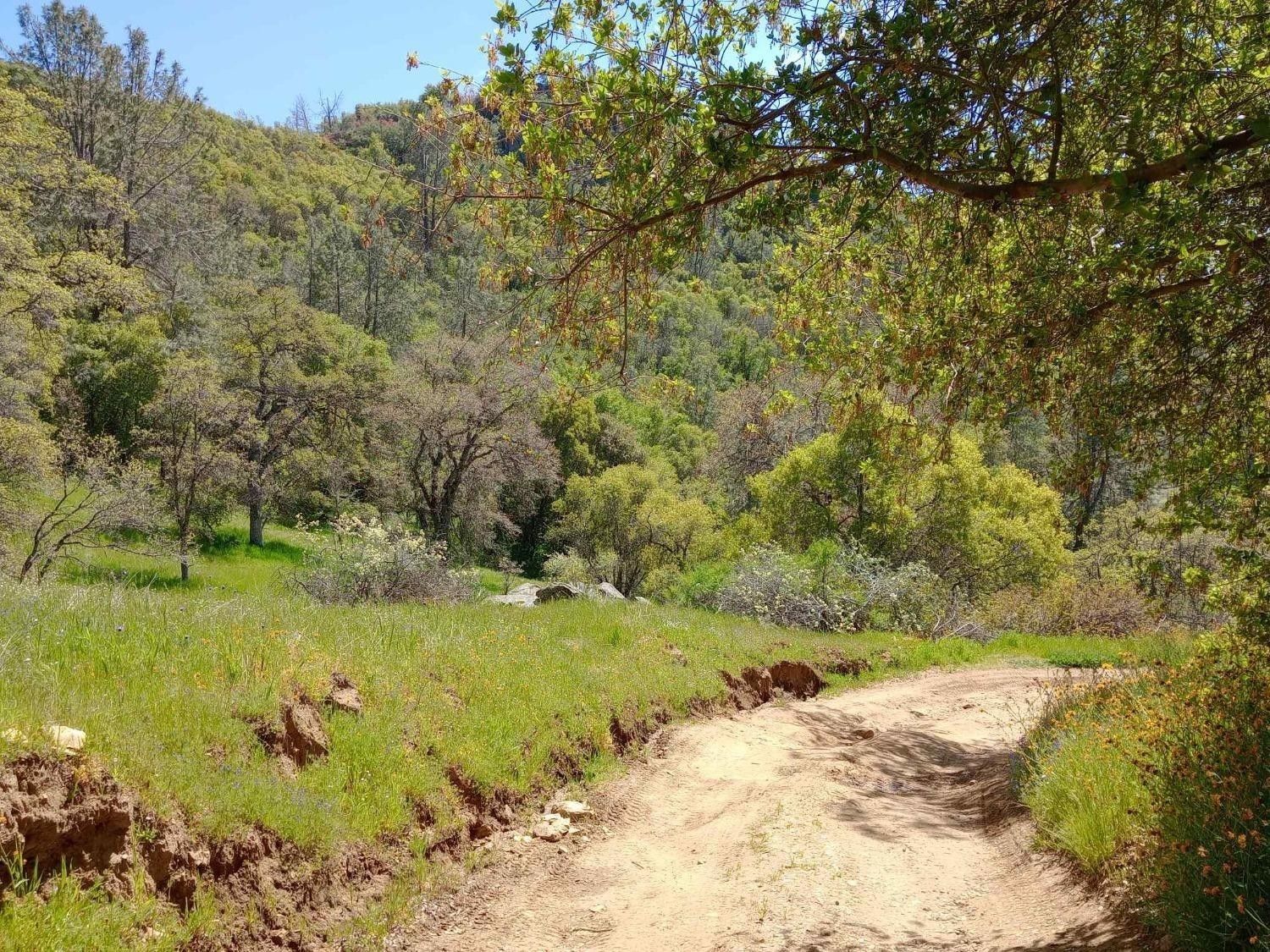 Tollhouse, Fresno County, CA for sale Property ID 419455646 LandWatch