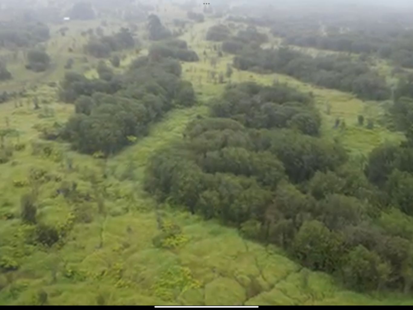 Old Volcano Road, Volcano, HI 96771 LandWatch