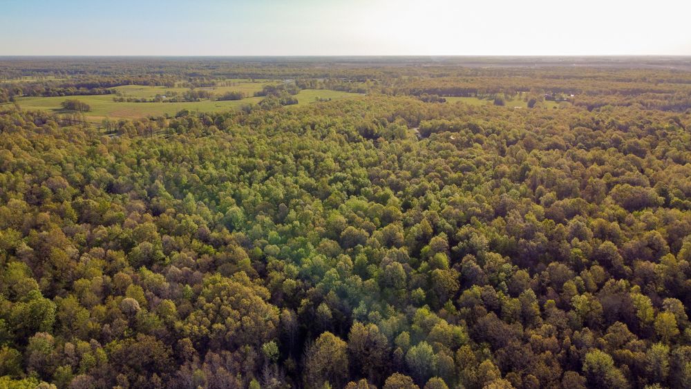 0000 Carmickle Road, Maynard, AR 72444 MLS Randolph 70 LandWatch