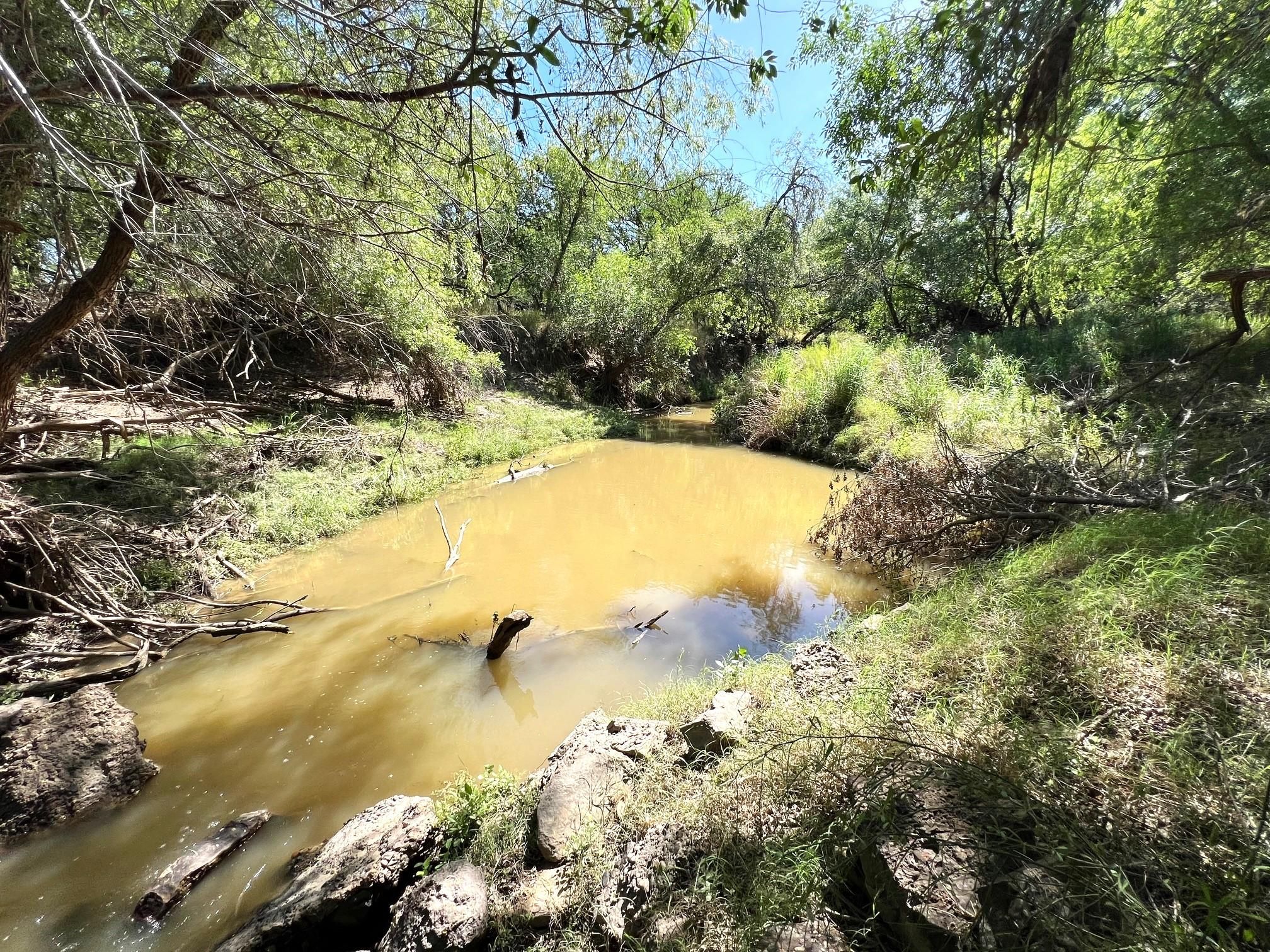 Cotulla, La Salle County, TX Farms and Ranches, Recreational Property