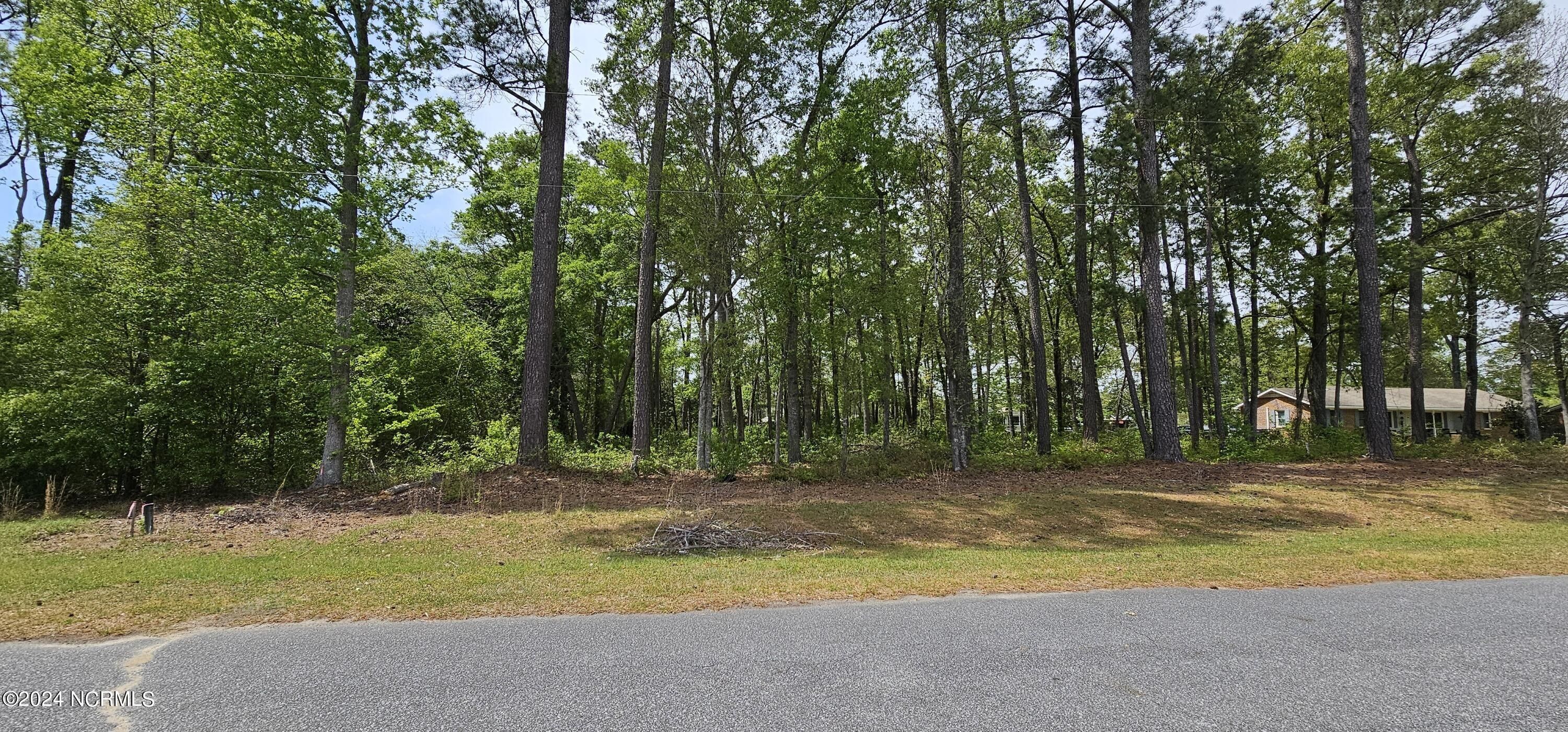 Grifton, Pitt County, NC Undeveloped Land, Homesites for sale Property