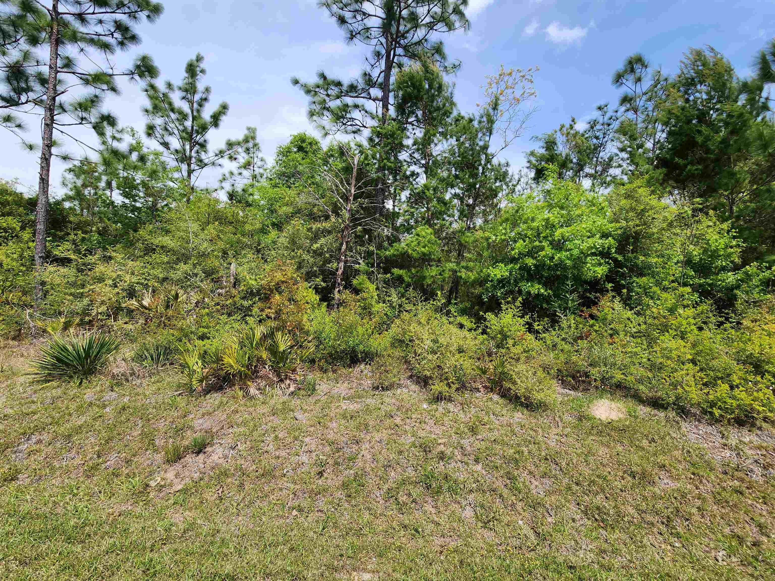 Fountain, Calhoun County, FL Undeveloped Land for sale Property ID