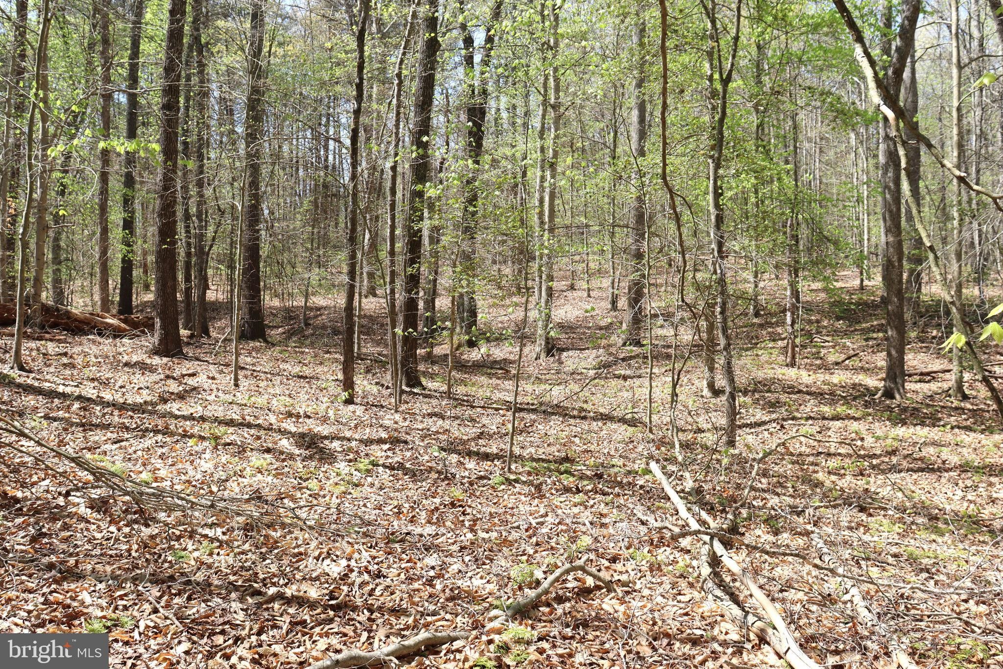 SNAKE CASTLE ROAD, Sumerduck, VA 22742 MLS VAFQ2012098 LandWatch