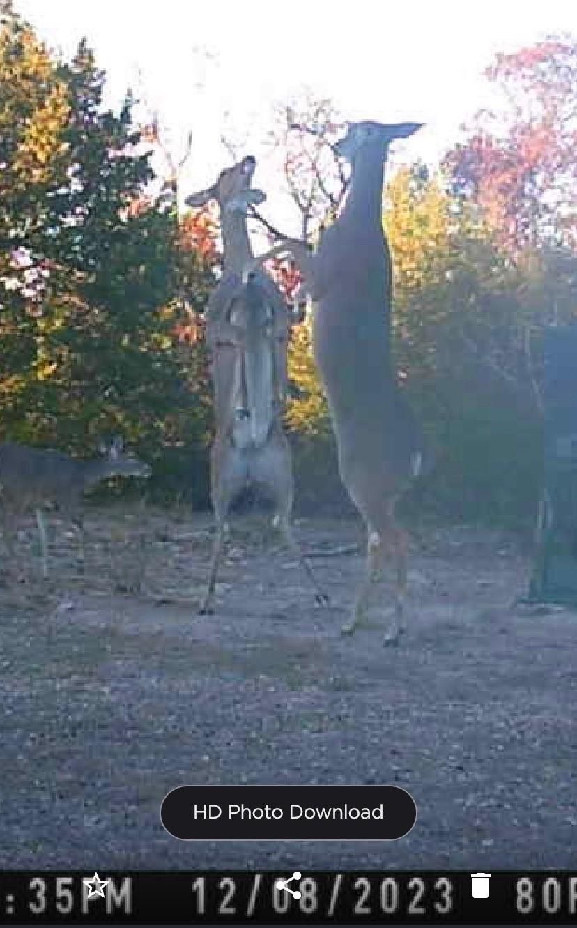 Sidney, Comanche County, TX Farms and Ranches, Recreational Property