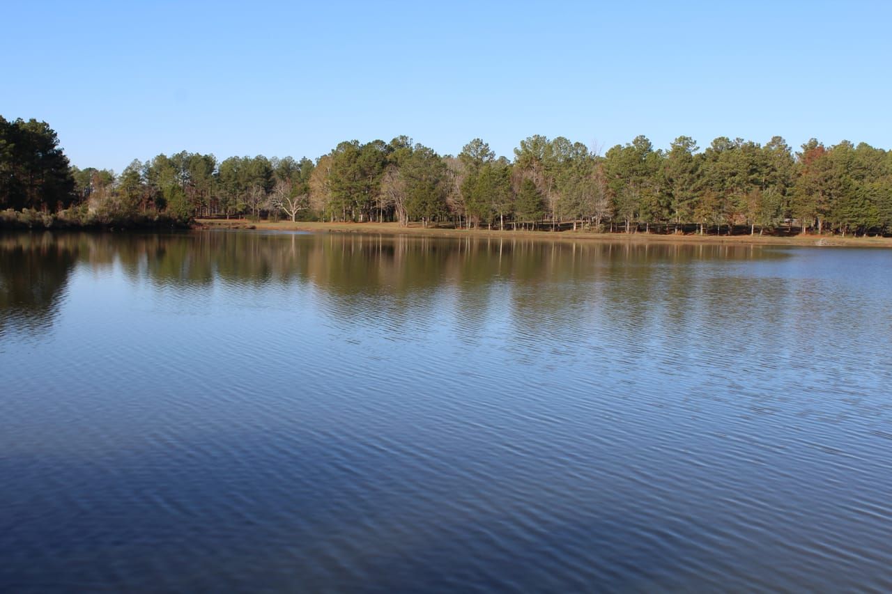 1187 Sharon Road, Canton, MS 39046 LandWatch