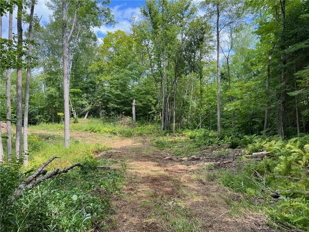 Cohasset, Itasca County, MN Undeveloped Land, Lakefront Property, Waterfront Property for sale