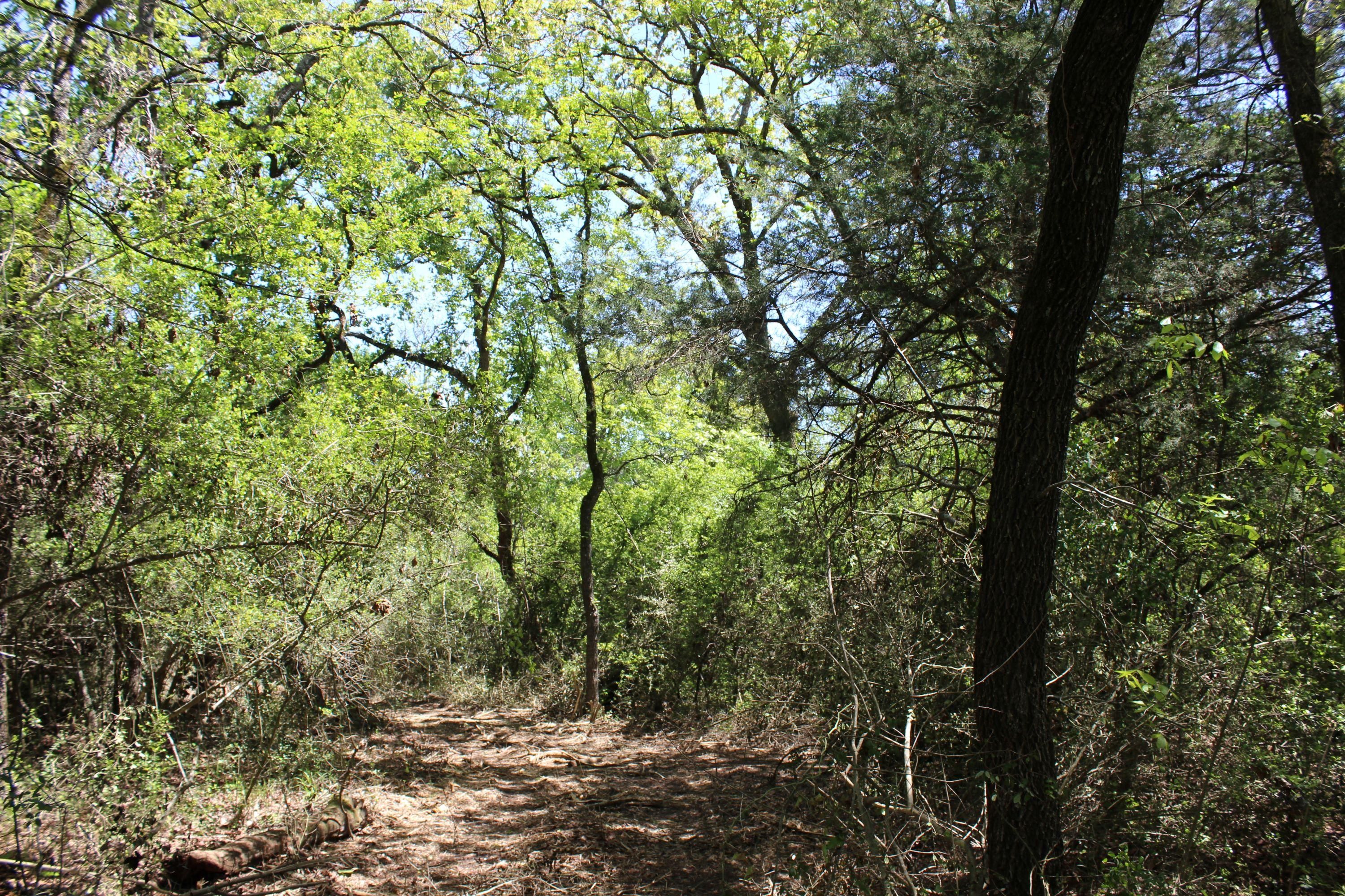 Centerville, Leon County, TX Undeveloped Land for sale Property ID