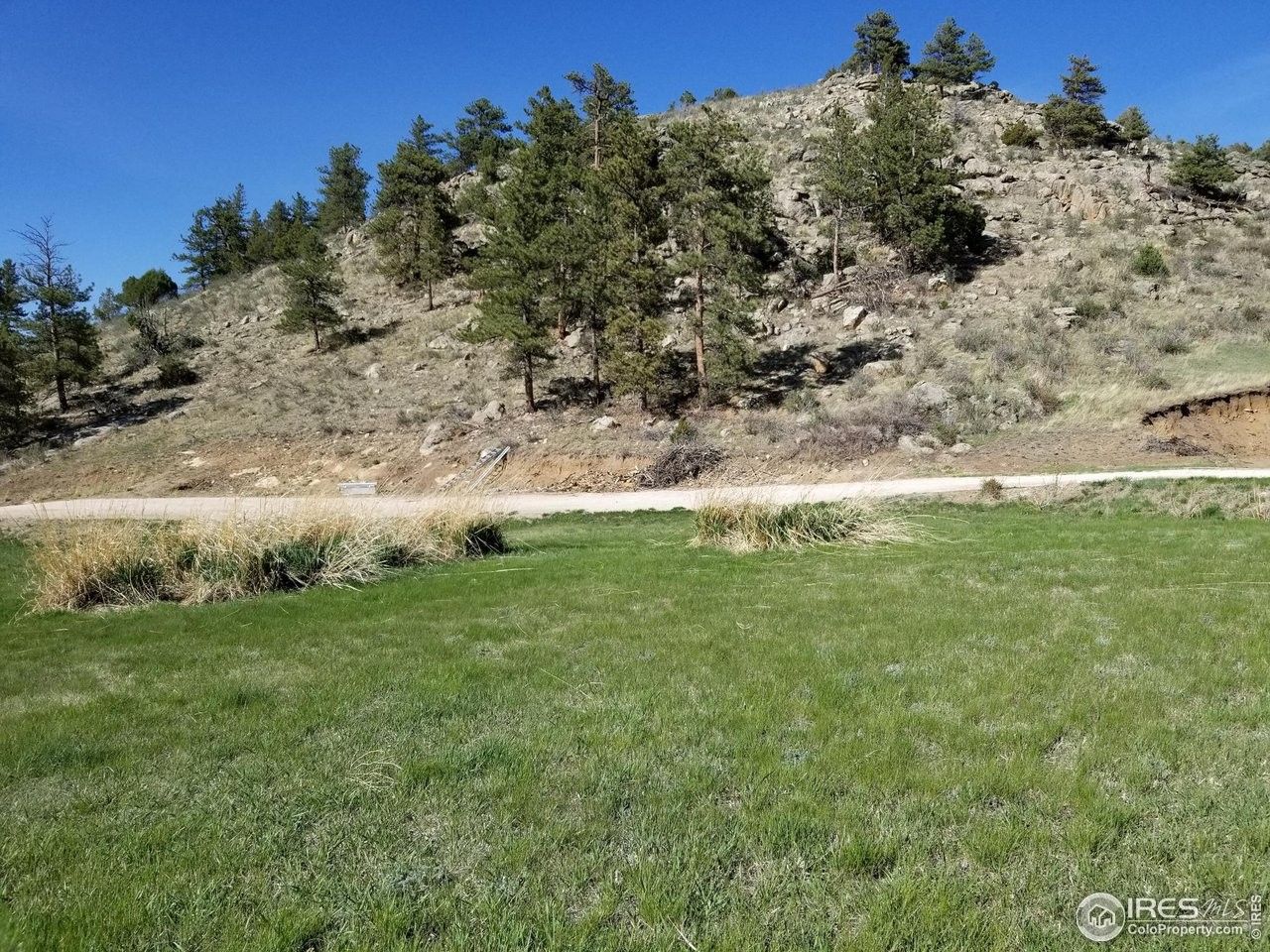 Livermore, Larimer County, CO Undeveloped Land, Homesites for sale