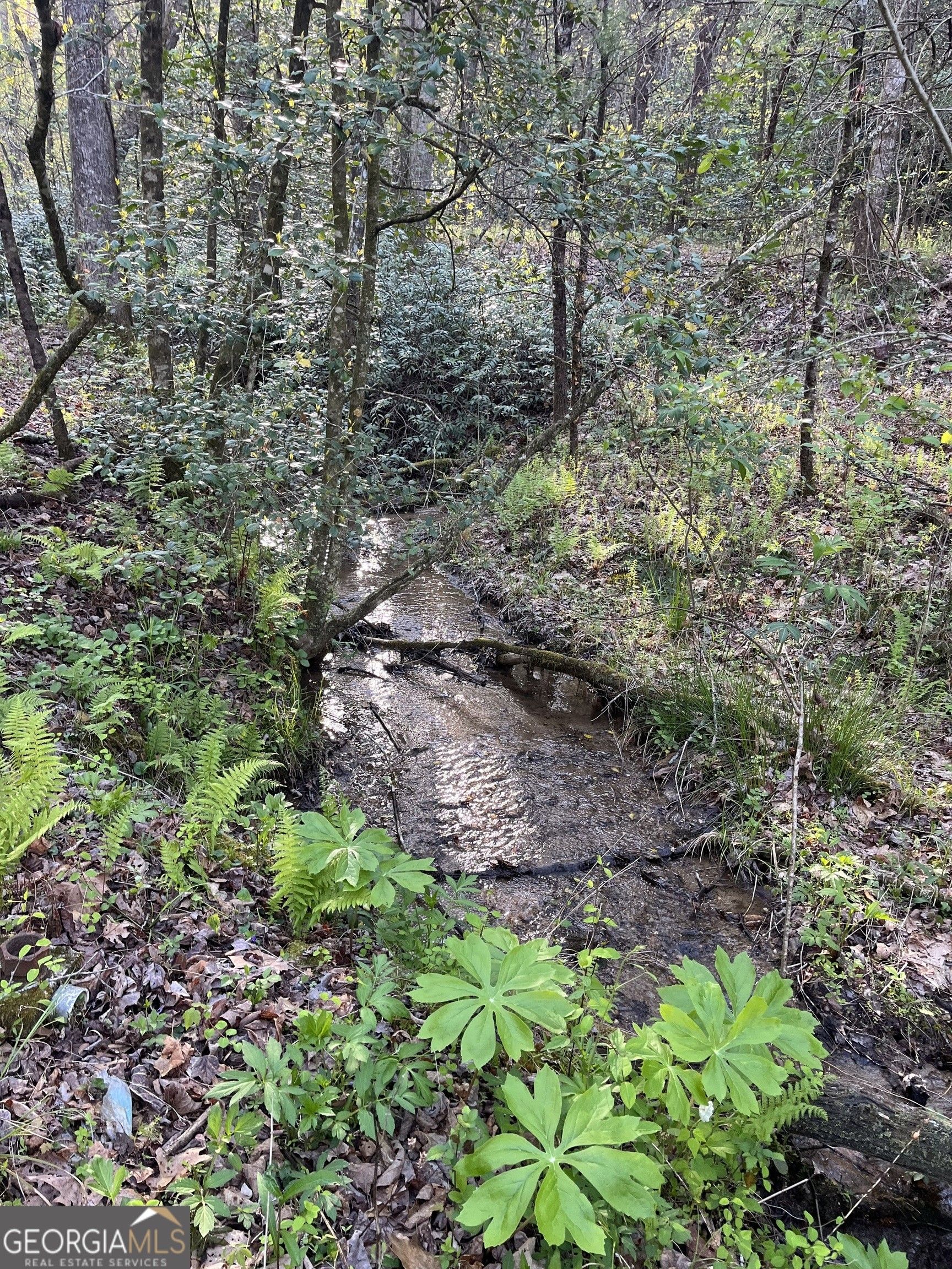 Clayton, Rabun County, GA Undeveloped Land for sale Property ID