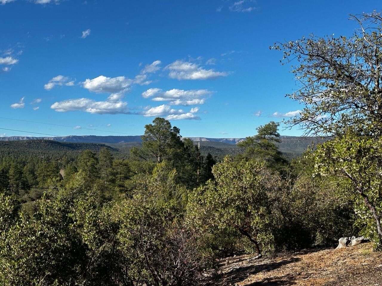 Payson, Gila County, AZ Undeveloped Land, Homesites for sale Property