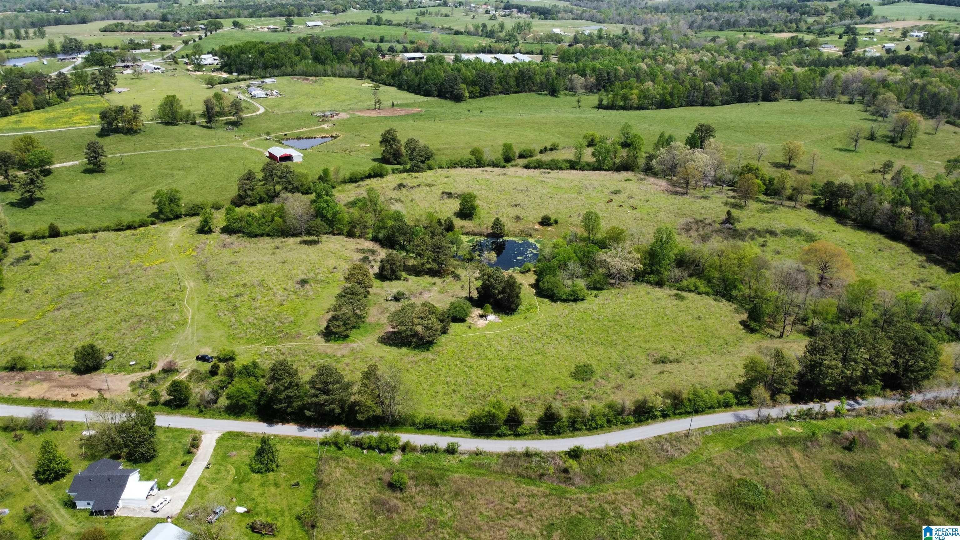 Blountsville, Blount County, AL Undeveloped Land for sale Property ID