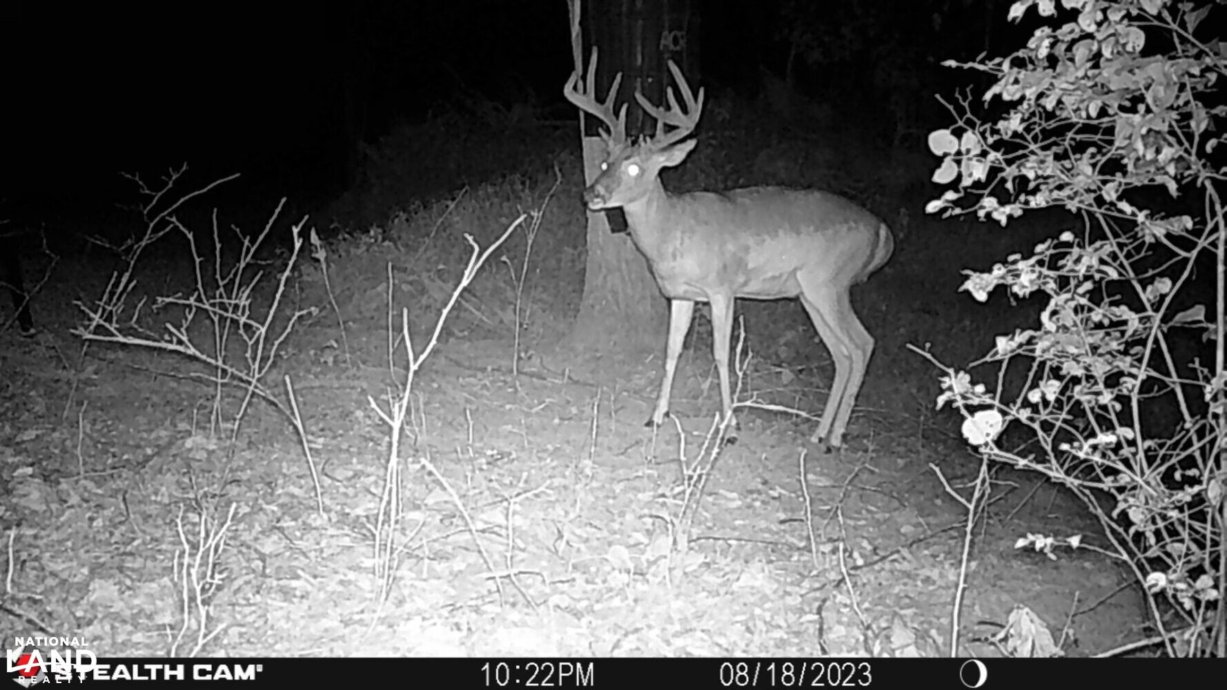 4345 MT UNGER RD, Otway, OH 45657 LandWatch