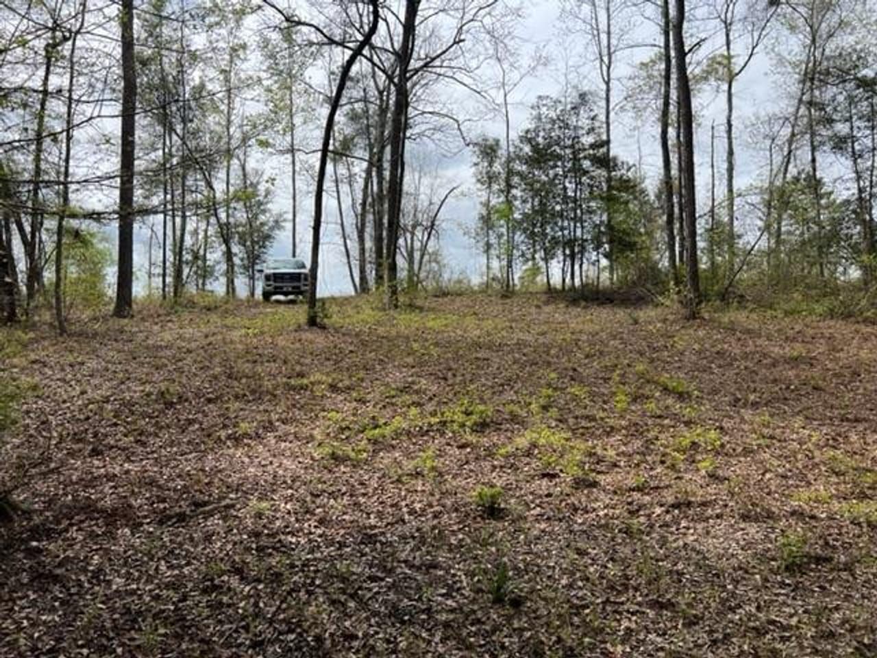 0 Off Oquinn Loop, Odum, GA 31555 LandWatch