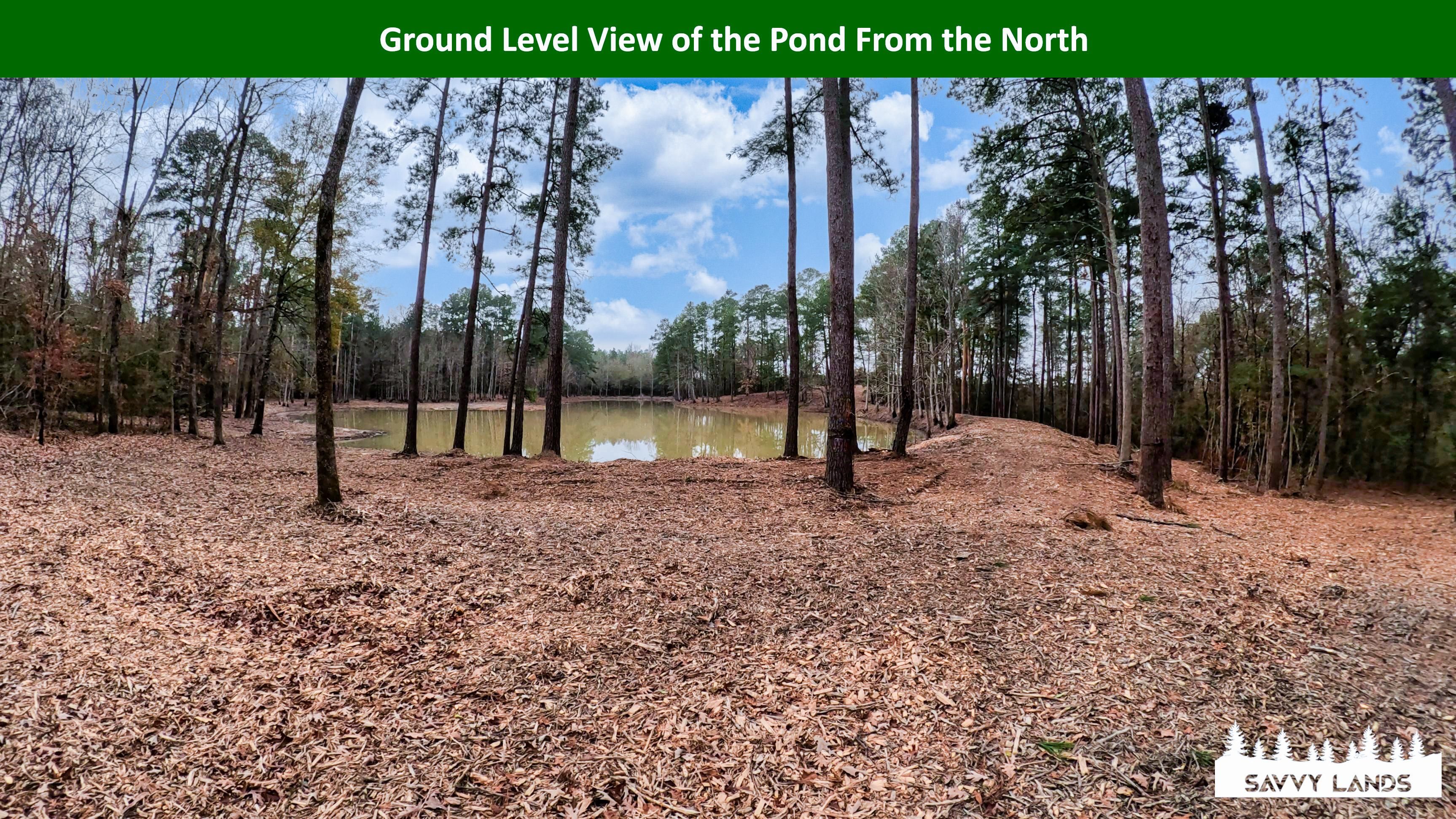 47.75 acres in Woodville, TX, 75979 MLS 13540 LandWatch