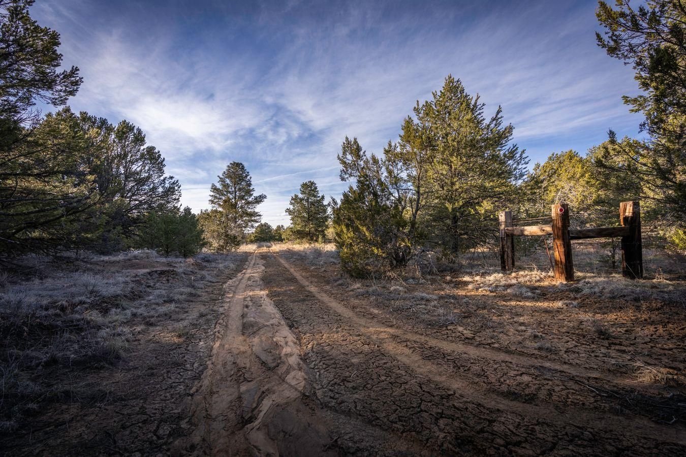 87301 Candy Kitchen Rd, Fence Lake, NM 87301 LandWatch