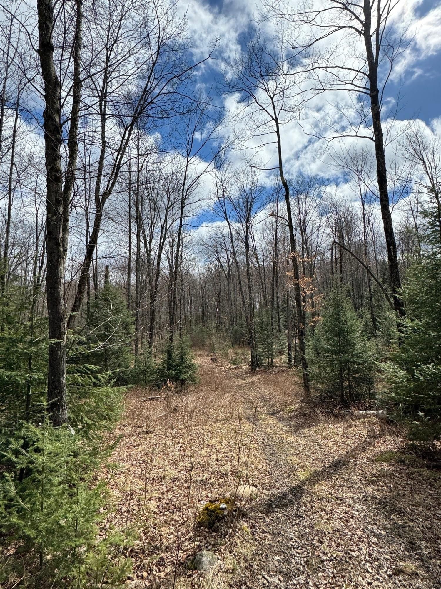 Pelican Lake, Oneida County, WI Undeveloped Land for sale Property ID