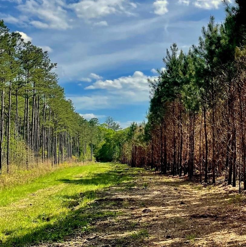 0 Rawls Rd., Cairo, GA 39828 MLS 923089 LandWatch