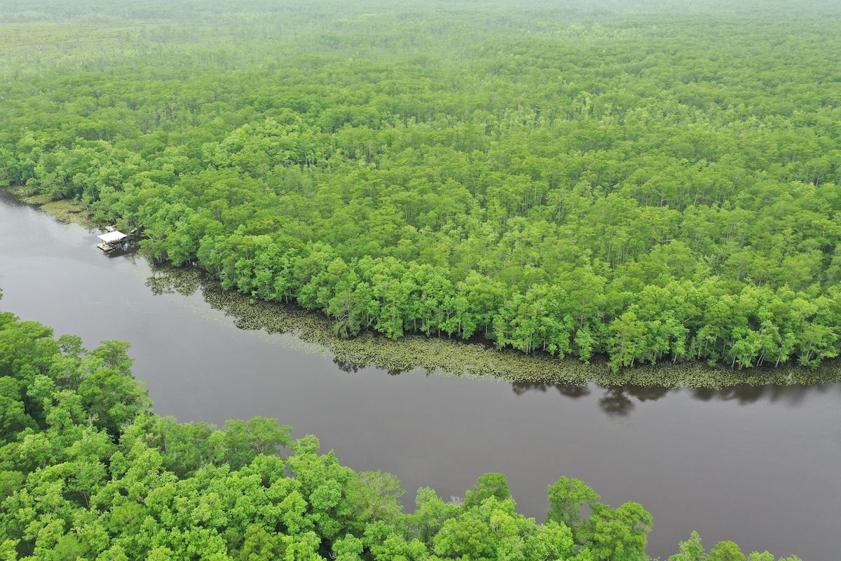 Natalbany River, LotWP001, Springfield, LA 70462 LandWatch