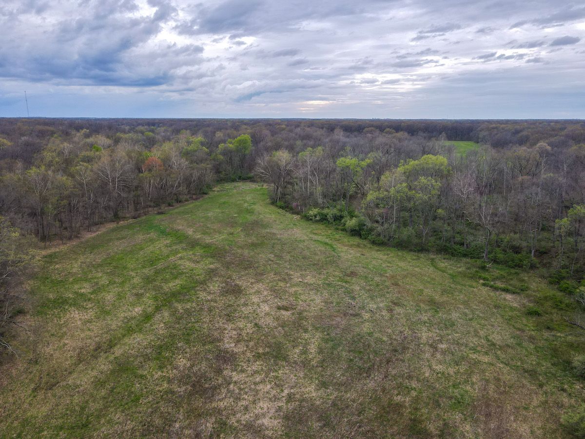 N. Deal Lane, Lot WP001, Woodlawn, IL 62898 LandWatch
