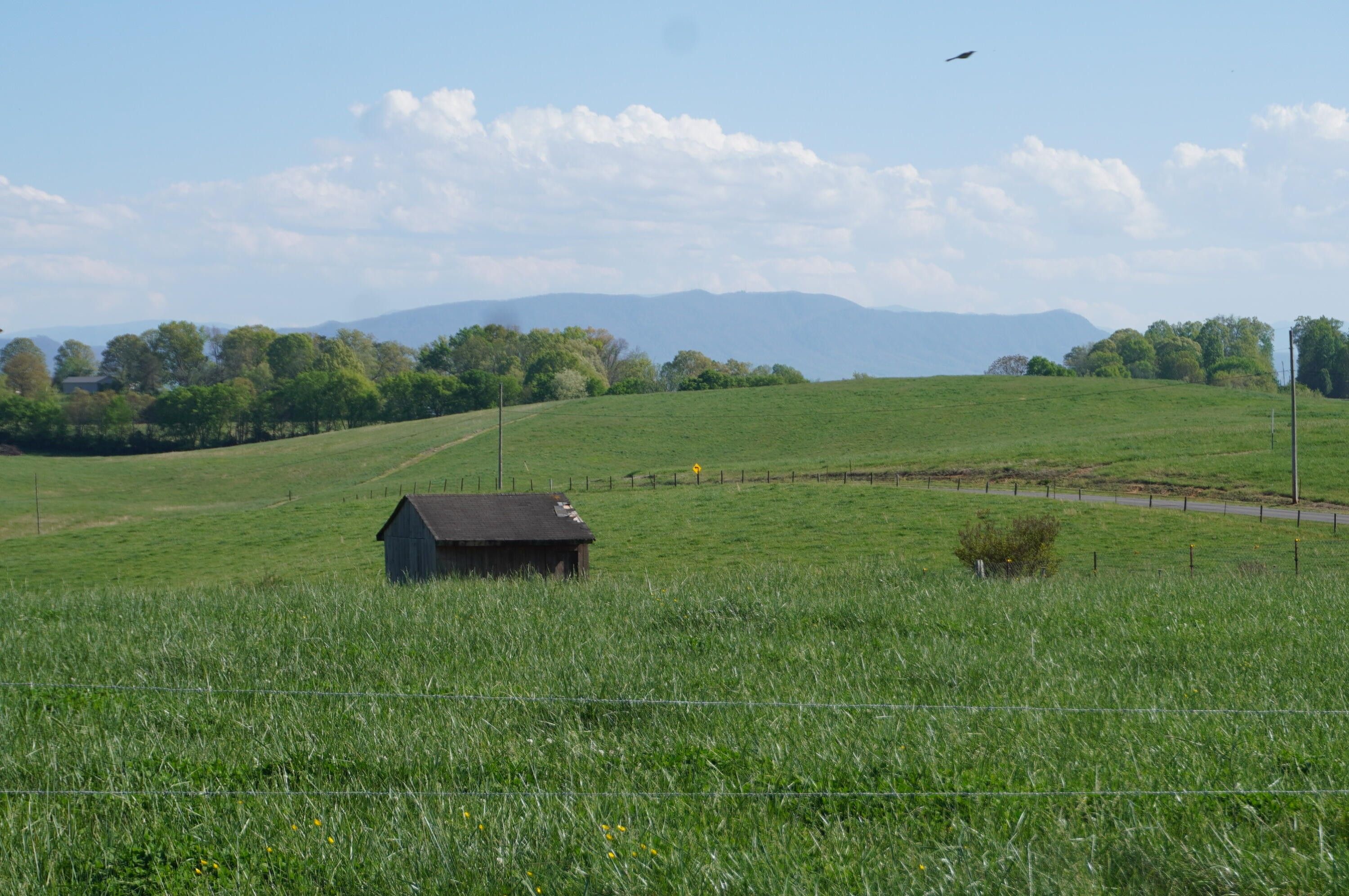 White Pine, Jefferson County, TN Undeveloped Land, Lakefront Property