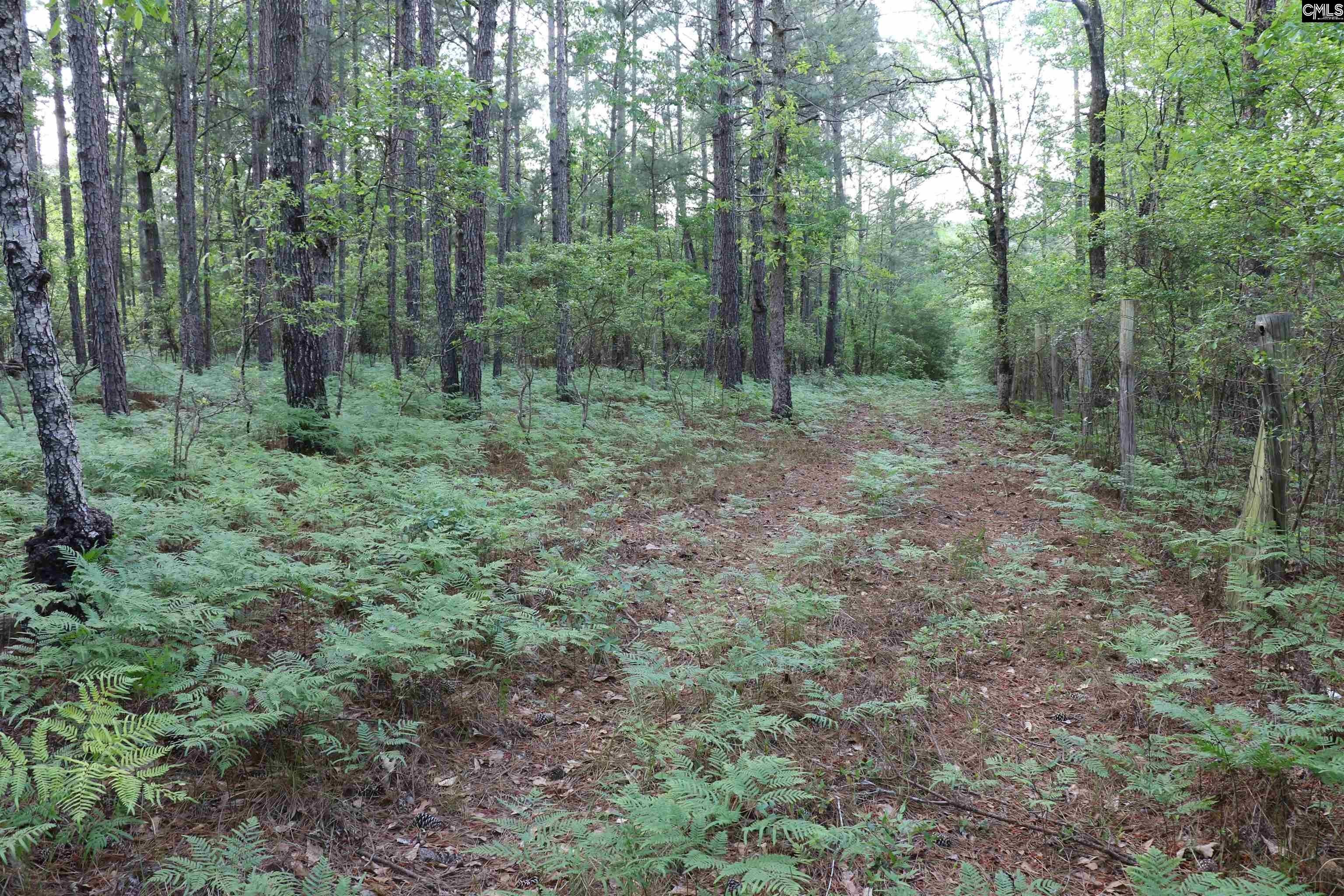Wagener, Aiken County, SC Undeveloped Land, Homesites for sale Property