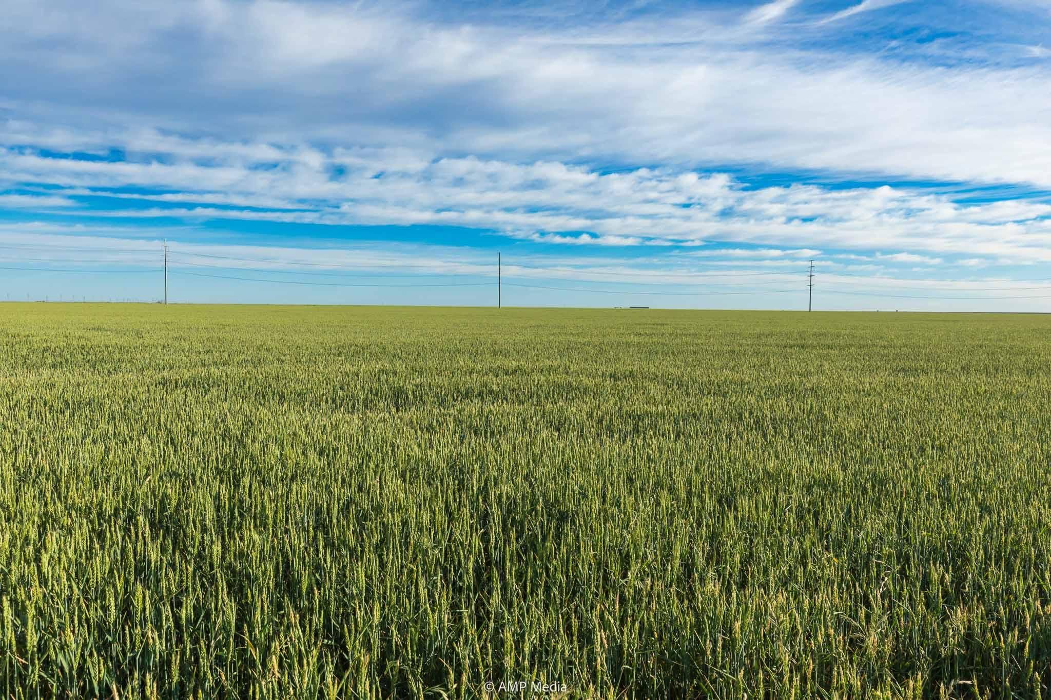 Hamlin, Jones County, TX Farms and Ranches, Recreational Property for