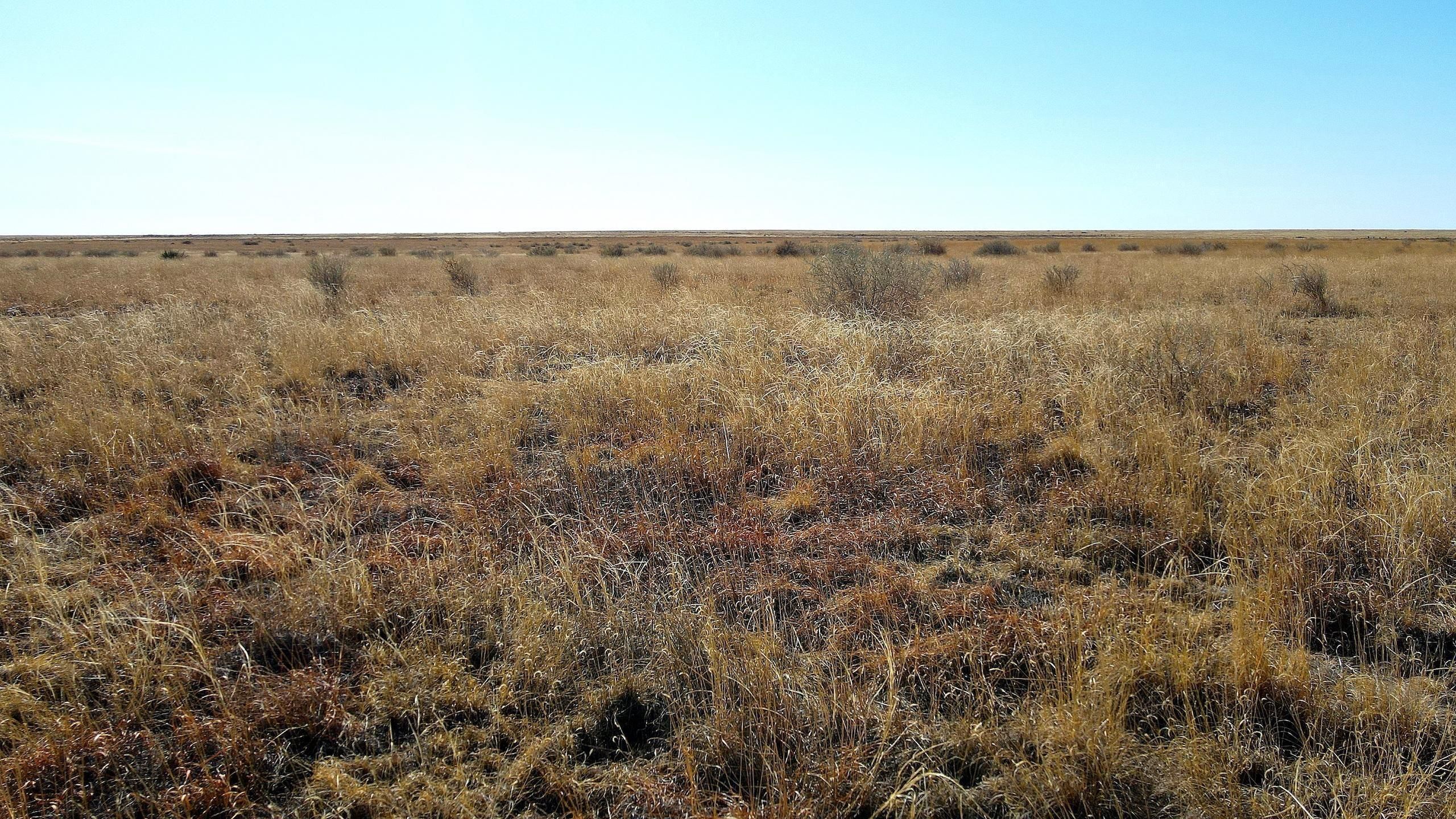 160 acres in Springfield, CO, 81073 LandWatch