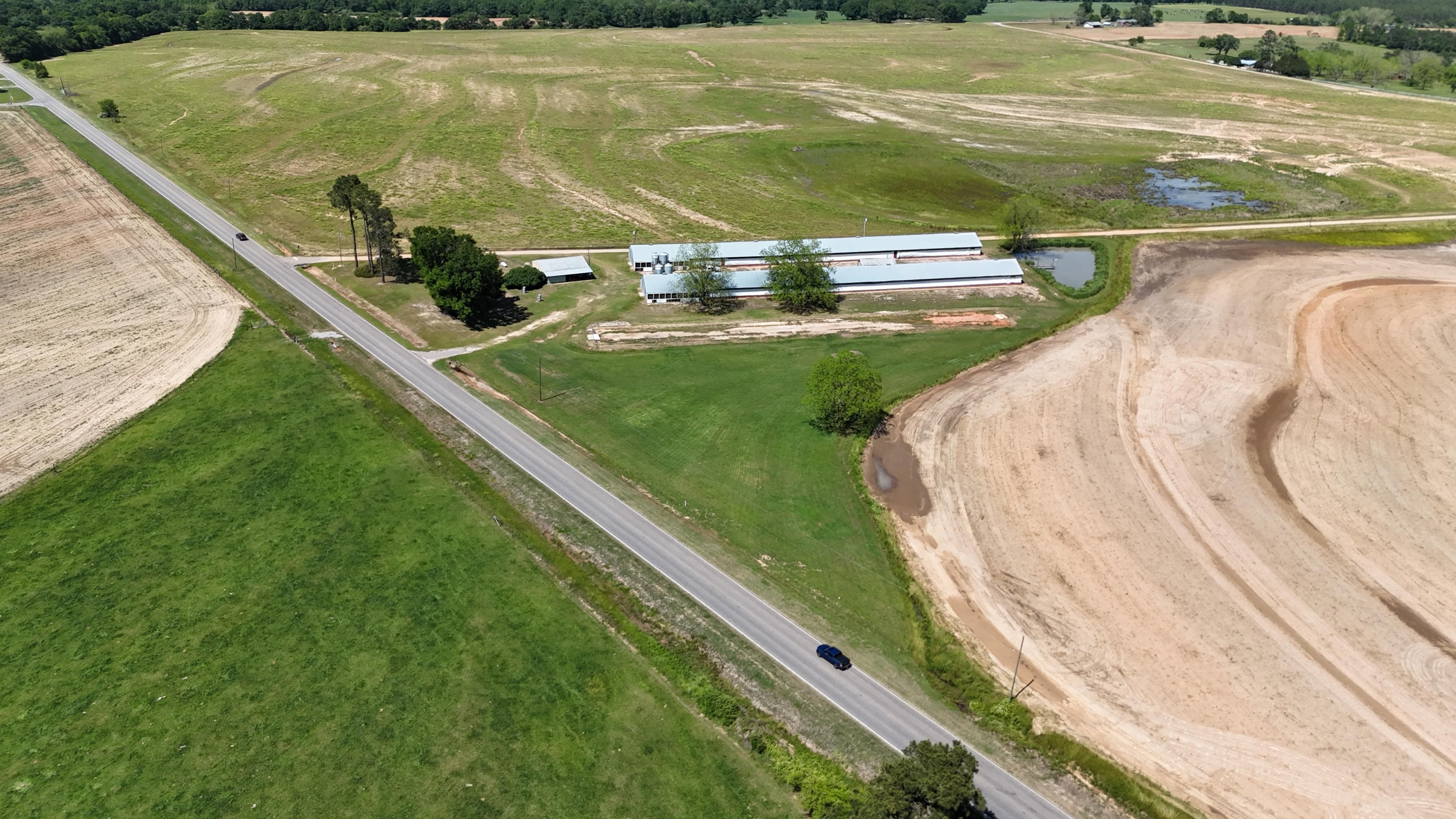 HW& 27, Chancellor, AL 36316 MLS 5 Ac Grice Farm Coffee Co