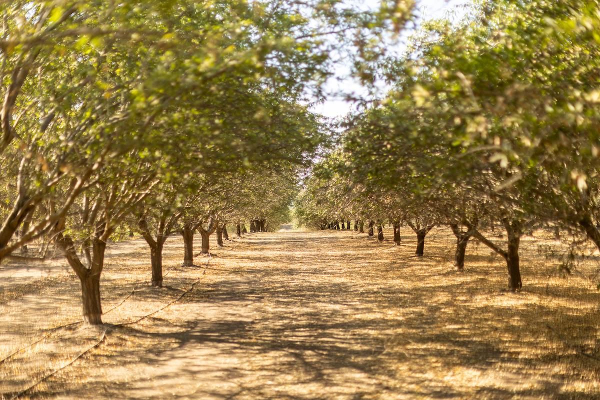 6560 Breuner Ave, Arbuckle, CA 95912 MLS 41049632 LandWatch