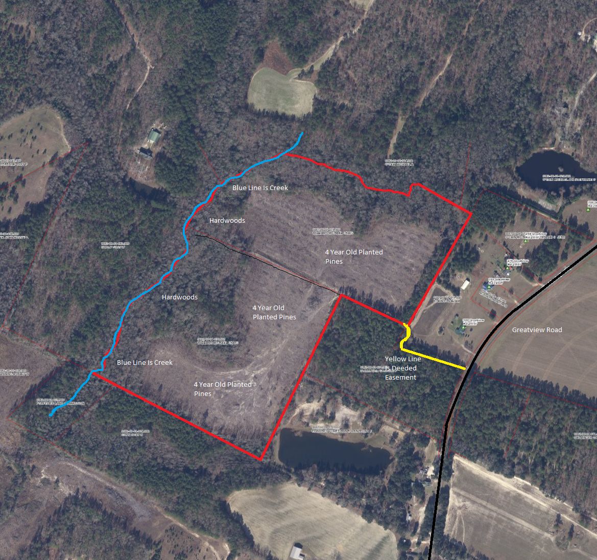 Neeses, Orangeburg County, SC Recreational Property, Timberland