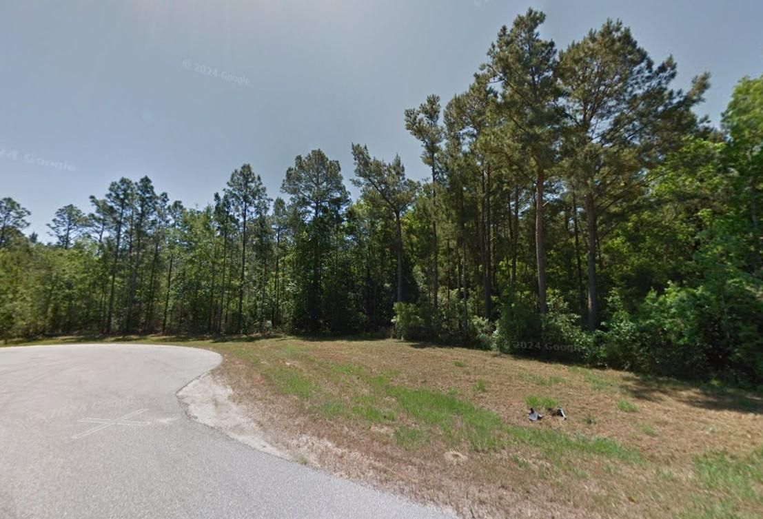 Gulf Shores, Baldwin County, AL Recreational Property, Undeveloped Land