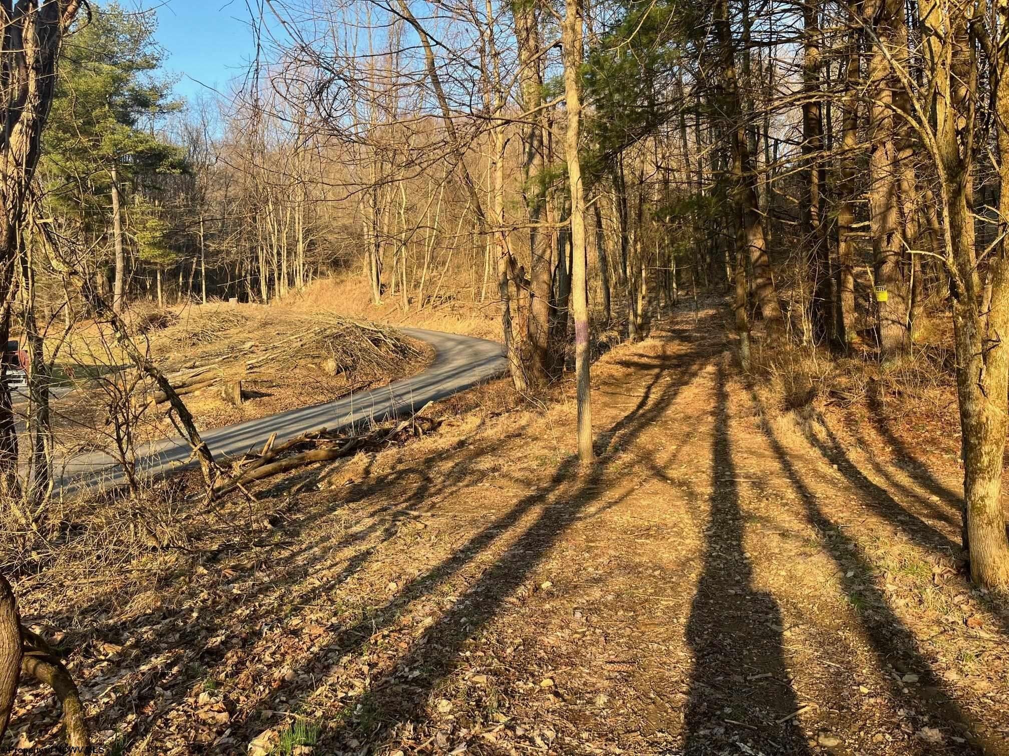Shinnston, Harrison County, WV Undeveloped Land for sale Property ID
