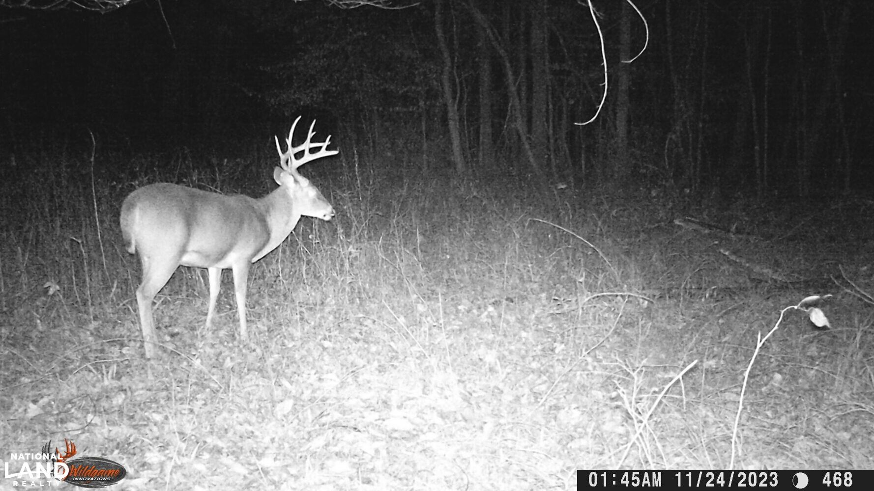 Hickory, Newton County, MS Recreational Property, Timberland Property