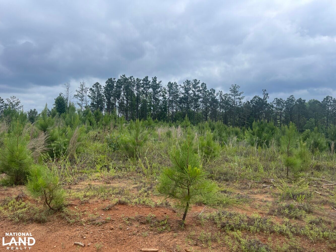 0 Providence Church Road, Millport, AL 35461 LandWatch