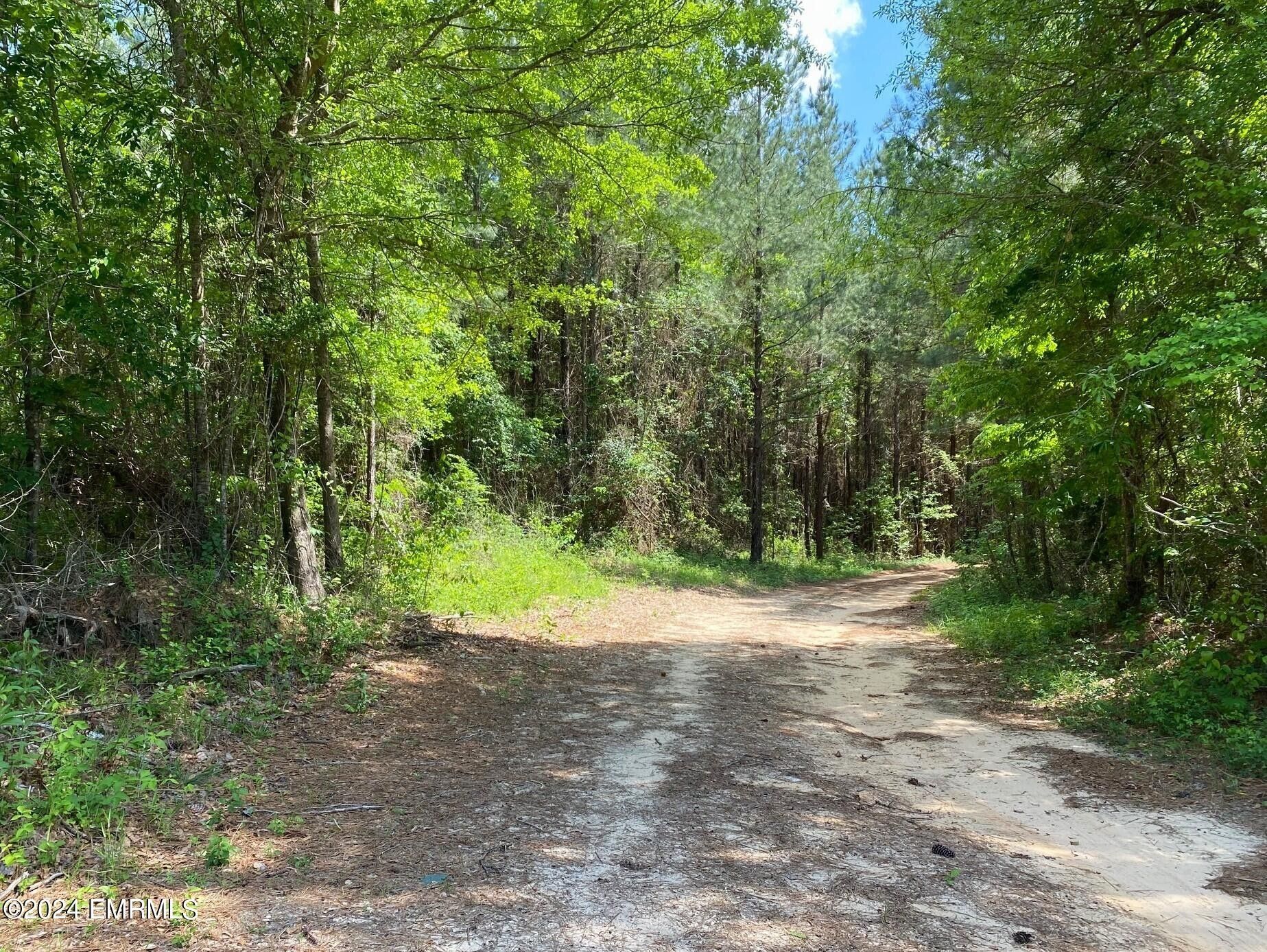 MS503, Hickory, MS 39332 MLS 24445 LandWatch