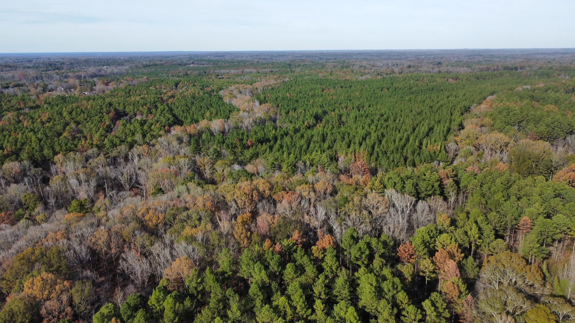 185 Acres, Hinds County, MS, Terry, MS 39175 LandWatch
