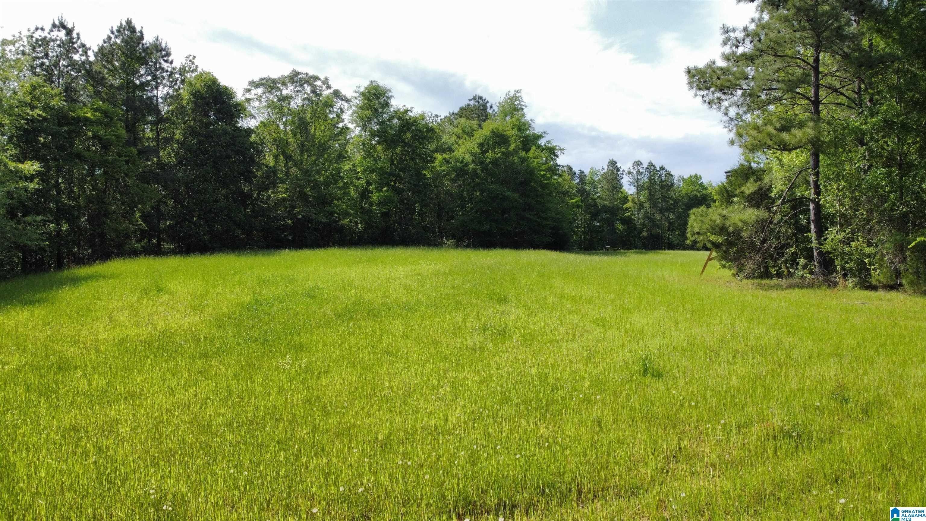 Linden, Marengo County, AL Timberland Property, Undeveloped Land